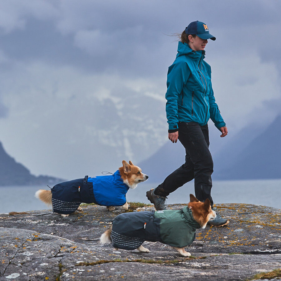 Non-stop dogwear Fjord Chubasquero Impermeable Negro para perros, , large Imagen numero 11