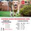 Menú Diabetes para perros  Pack 10 unidades, , large indicador imagen numero 2