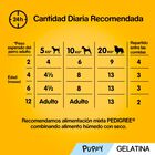 Pedigree Junior Vital Protection Gelatina sobre para perros - Pack 4, , large image number null
