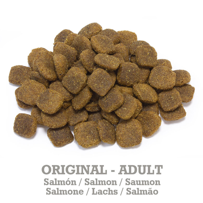 ARQUIVET DOG ORIGINAL - Adult Salmon 20Kg, , large image number null
