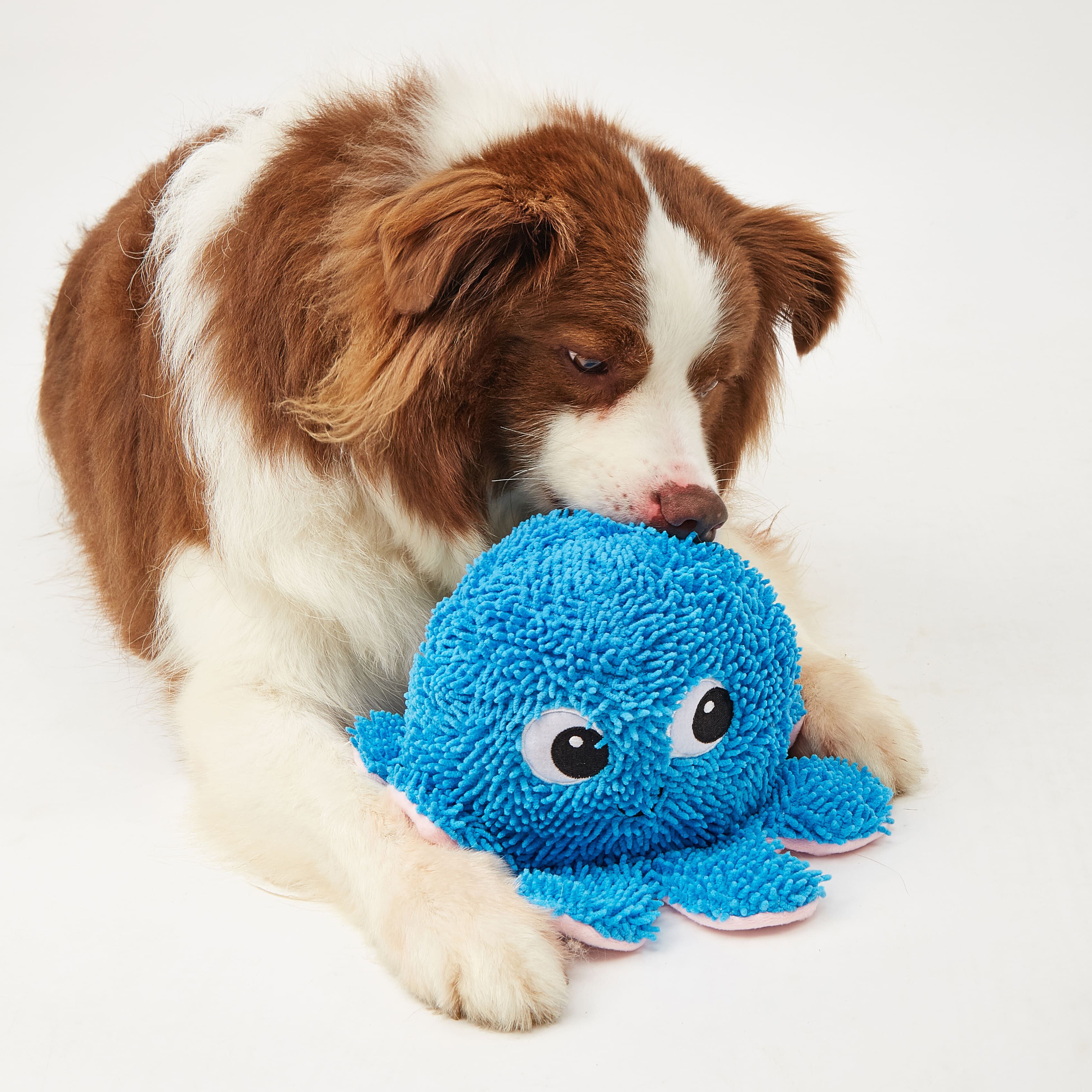 FOFOS | Peluche Pulpo Resistente y Suave con Sonido - Para Perro, , large Imagen numero 2