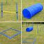 Set de Entrenamiento y Agilidad PawHut para Perros color Azul, , large indicador imagen numero 3