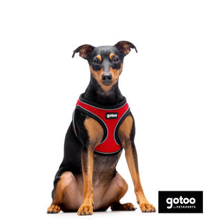 Gotoo Arnés ajustable de malla rojo para perros