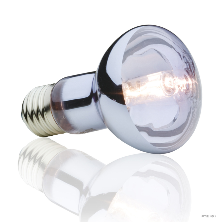 Exoterra Bombilla para reptiles Halogen Basking Spot, , large Imagen numero 2