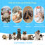 Nobleza - Chaleco de recuperación para Perros y Gatos, Traje de Recuperación Después de la Cirugía, Protector de heridas Abdominales, Recuperación Transpirable, para Gato y perros pequeños (Blue, L), , large indicador imagen numero 5
