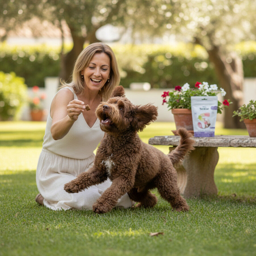100 g Dibaq Sense Snack Hypoallergenic Lubina para perros, , large Imagen numero 4