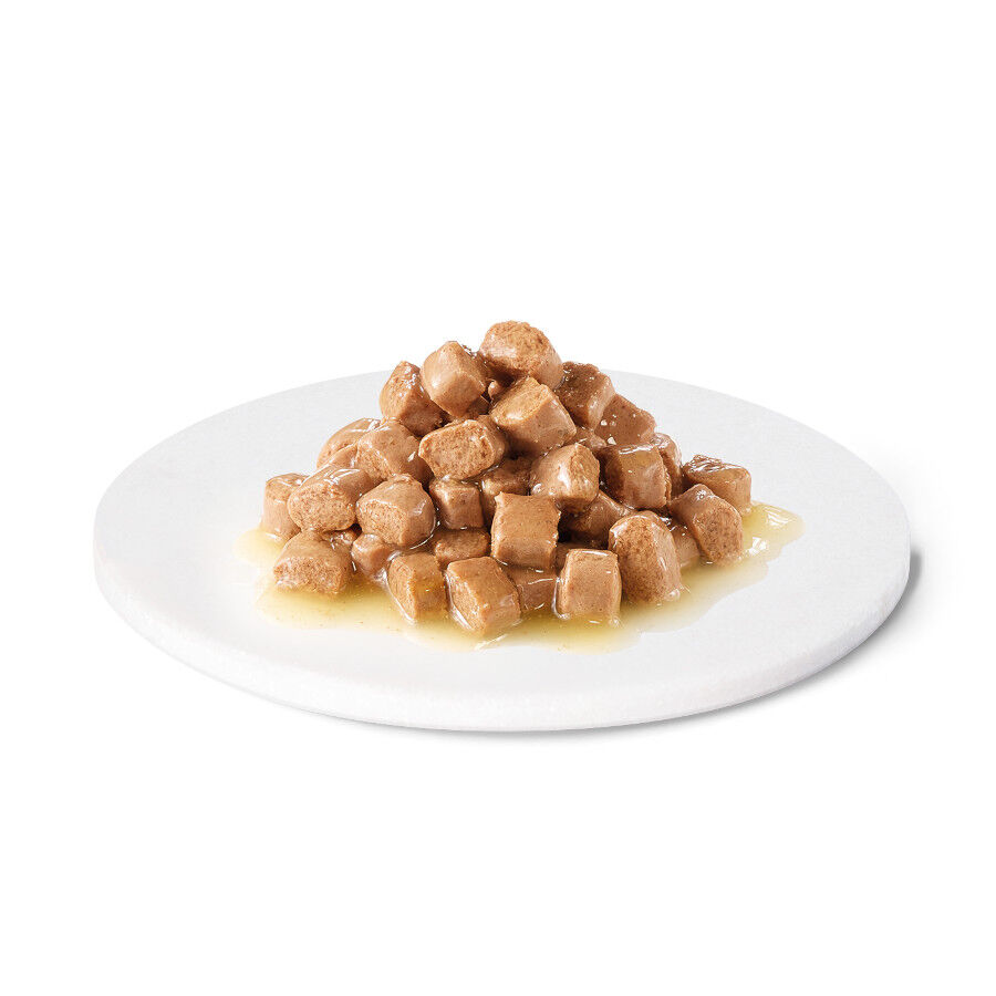 Advance Veterinary Diets Weight Balance Sobre para gatos thumbnail