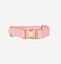 CityFox™ Kit Collar y Correa | Rosa, , large indicador imagen numero 2