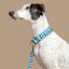 Baona collar martingale henderson de nylon reciclado azul para perros, , large indicador imagen numero 2
