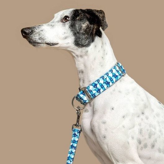 Baona collar martingale henderson de nylon reciclado azul para perros, , large image number null