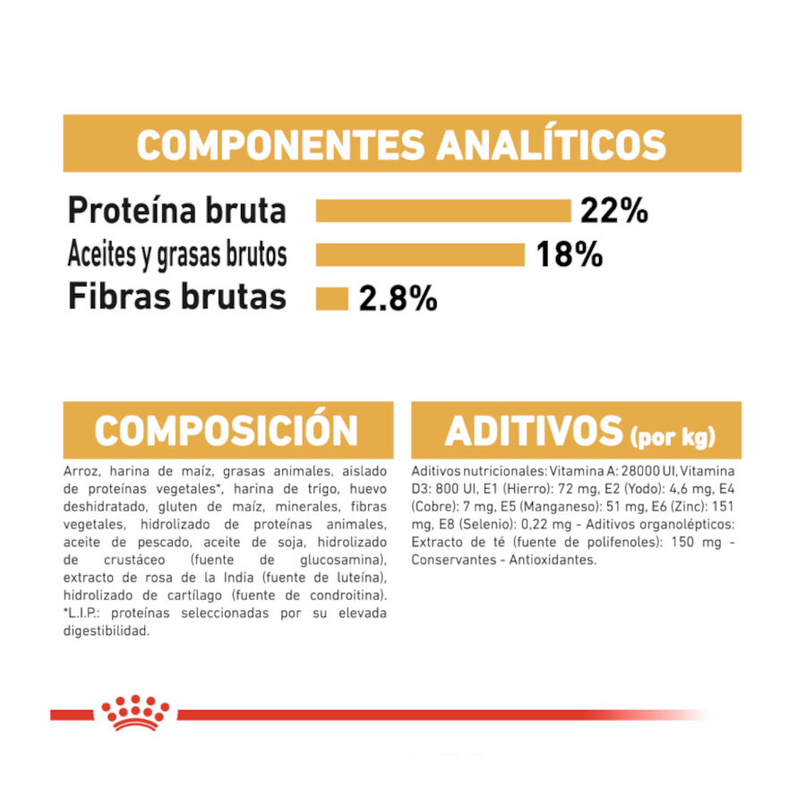 Royal Canin Adult Dálmata pienso para perros thumbnail