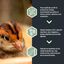 Pienso para Pollitos de Aves Ornamentales: faisanes, perdices, codornices - Show 1 - Alimento Equilibrado de Arranque - Rico en Proteínas - De 0-6 Semanas - 20KG, , large indicador imagen numero 3