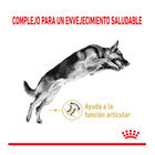 Royal Canin Adult +5 Pastor Alemán pienso para perros , , large image number null