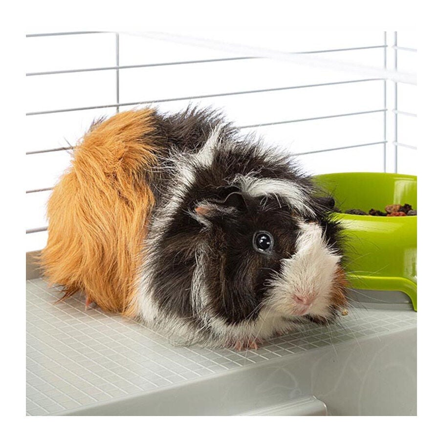 Ferplast Jaula para conejos y conejillos de índias thumbnail
