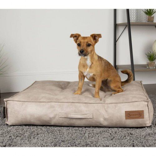 Cama para perros color Crema, , large Imagen numero 8