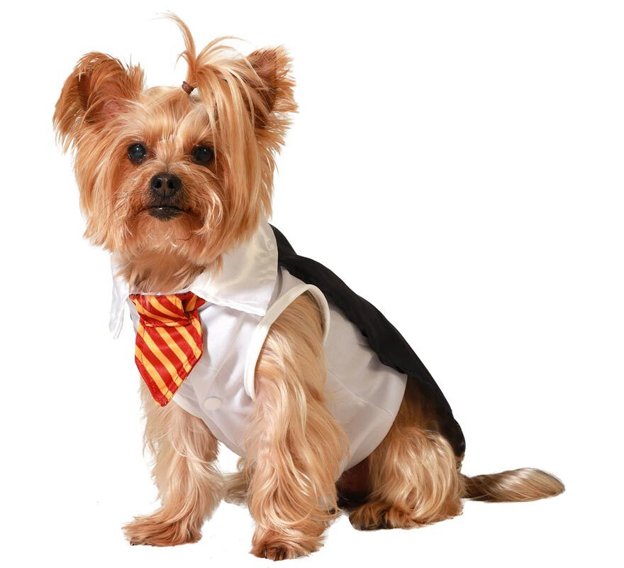 Disfraz de Aprendiz de Mago para perro, , large Imagen numero 1