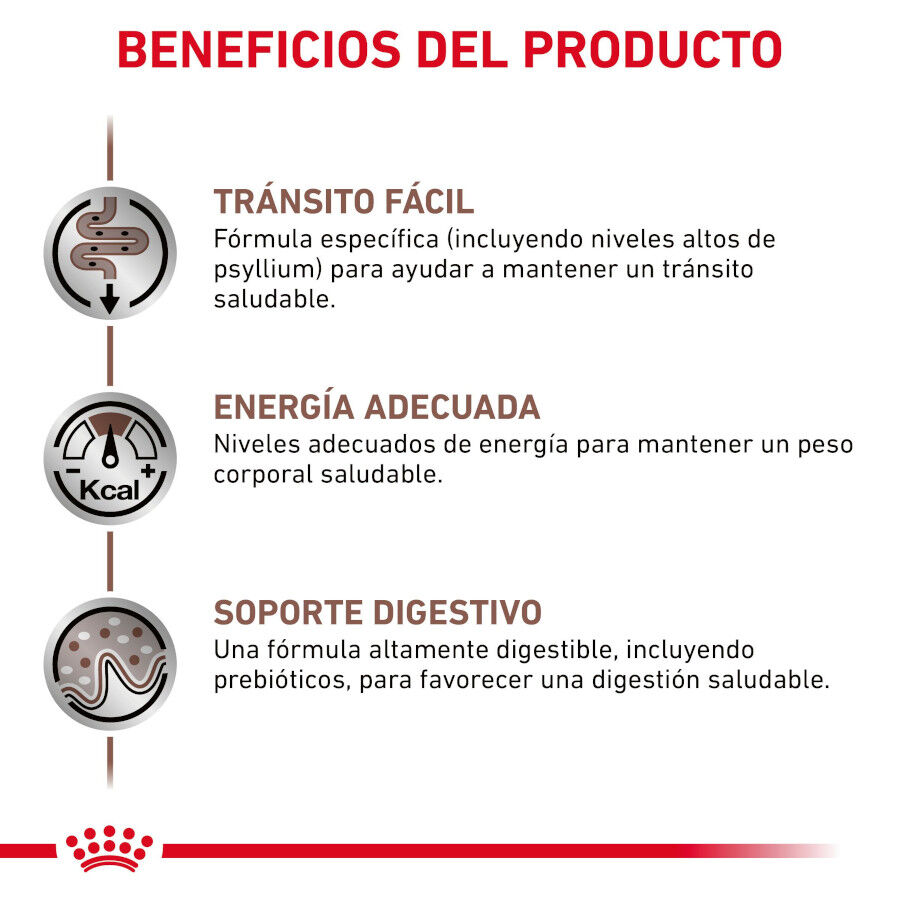 12 sobres x 85 g Royal Canin Gastrointestinal Fibre Response L&aacute;minas en Salsa Sobre para gatos, , large Imagen numero 4