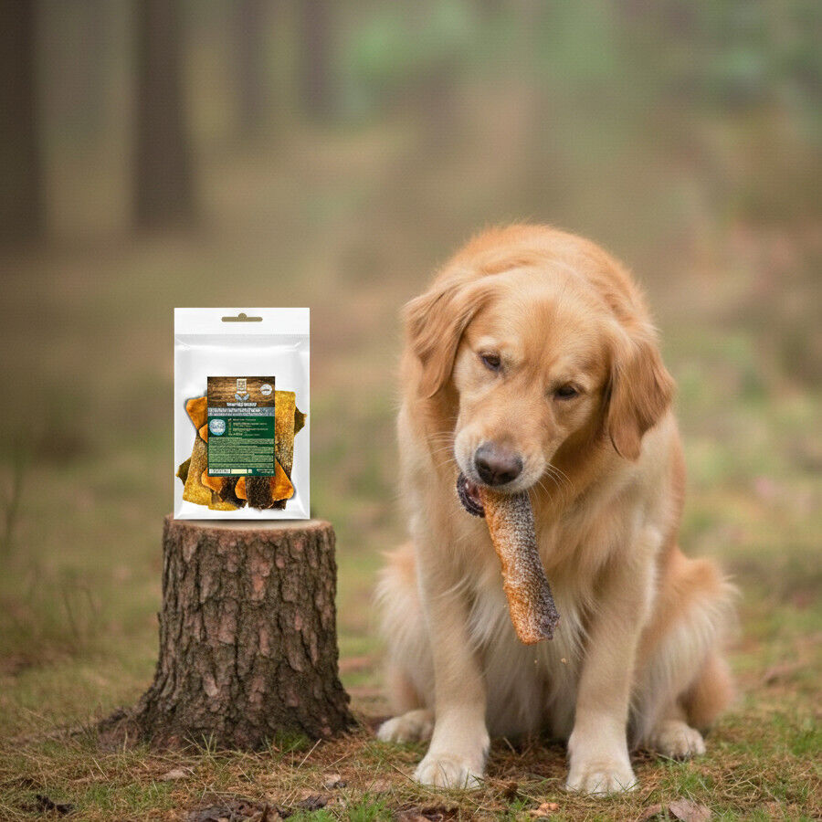 70 g. True Origins Piel de Salm&oacute;n con Carne Snack para perros, , large Imagen numero 1