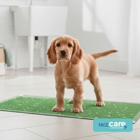 Nice Care Empapadores Pasto para perros