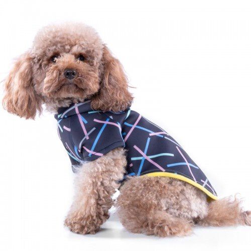 Su&eacute;ter Chispa Neosticks para perros color Negro, , large Imagen numero 2