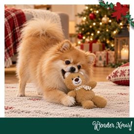 Wonder Christmas Oso Caramelo Peluche para perros