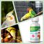 Avianvet Ácaro Stop para aves, , large indicador imagen numero 3