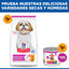 6 kg Hill's Science Plan Mature Adult Small y Mini pollo pienso para perros, , large indicador imagen numero 4