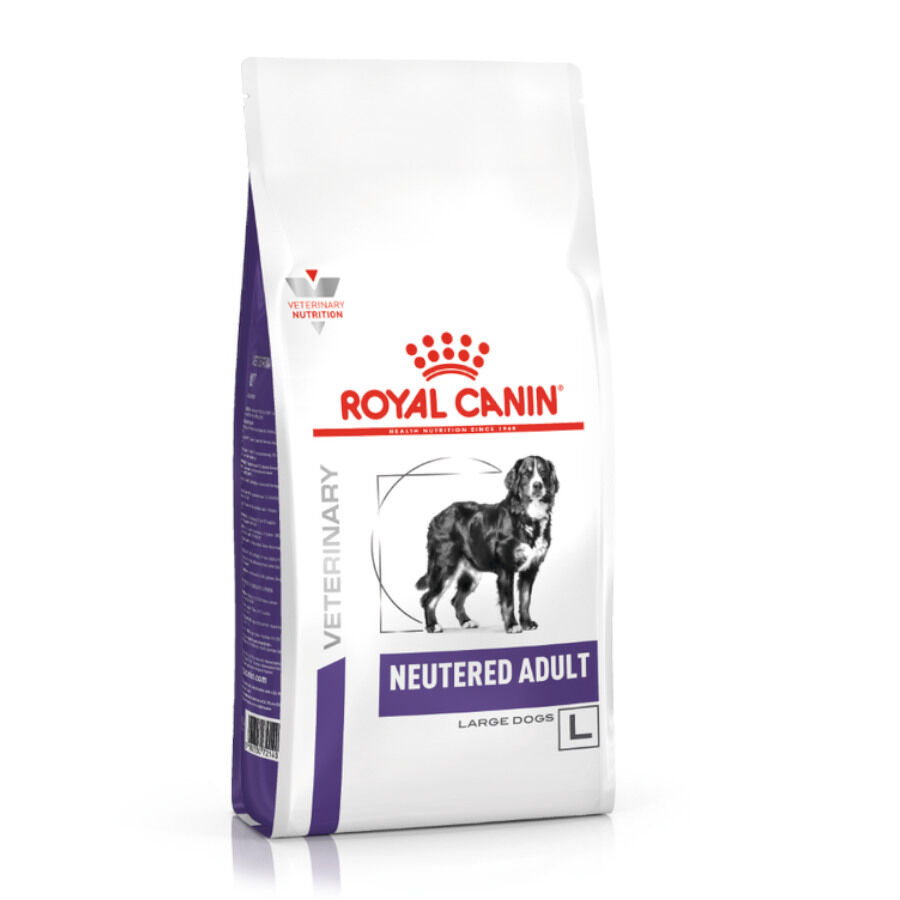 Royal Canin Adult Large Veterinary Neutered pienso para perros