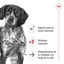 15 kg Royal Canin Medium 10+ Ageing pienso para perros&nbsp;senior, , large indicador imagen numero 4