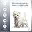 MD-10 Champú Hidratante y Dermoprotector para perros Westy, , large indicador imagen numero 3