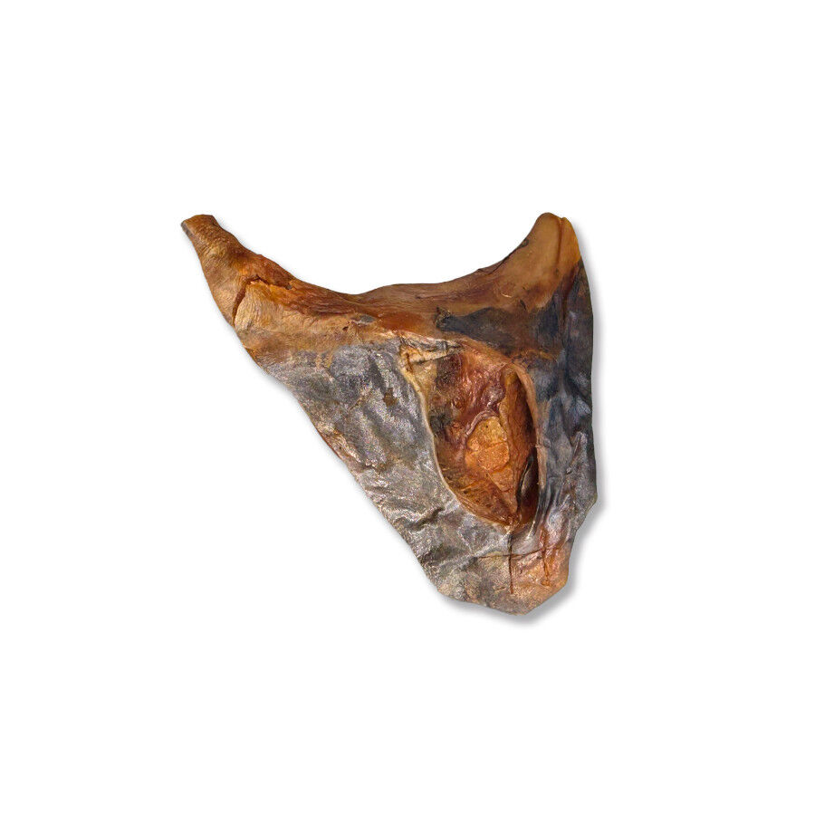 70 g. True Origins Collar Pez Espada Snack para perros, , large Imagen numero 3