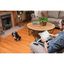 Petsafe sistema de adiestramiento apoyo educativo para perros, , large indicador imagen numero 7