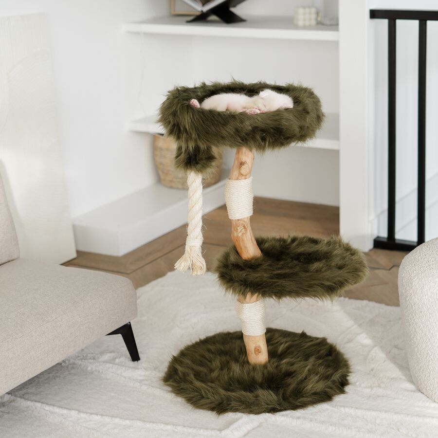 Rascador para Gatos Furry Bengal (Verde Bosque), , large Imagen numero 3