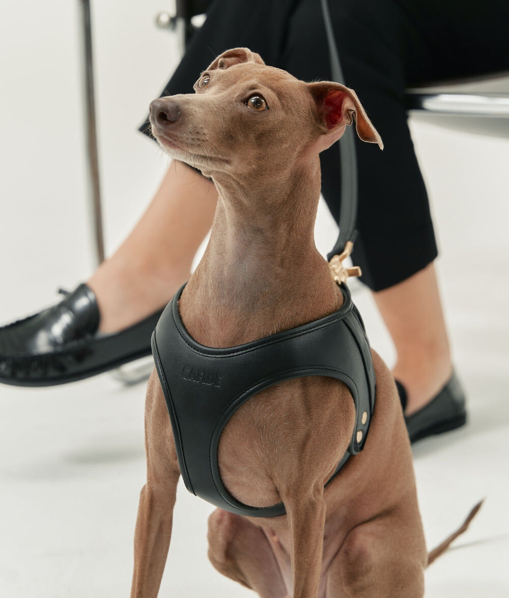 CAFIDE Arn&eacute;s Cuero Vegano Jala Negro, , large Imagen numero 2