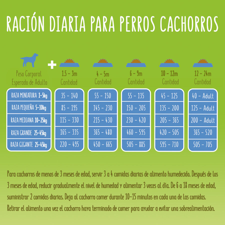 Friskies Junior Pollo y Verduras pienso para perros thumbnail