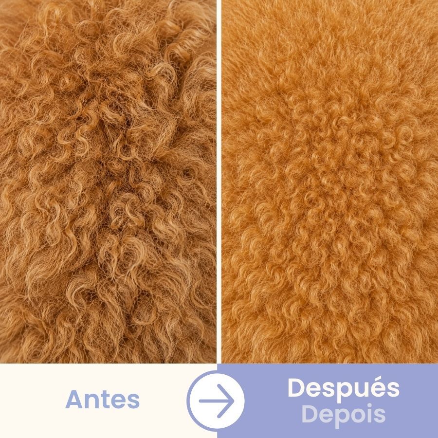 Bloob Peine Doble Hilera para perros, , large Imagen numero 5