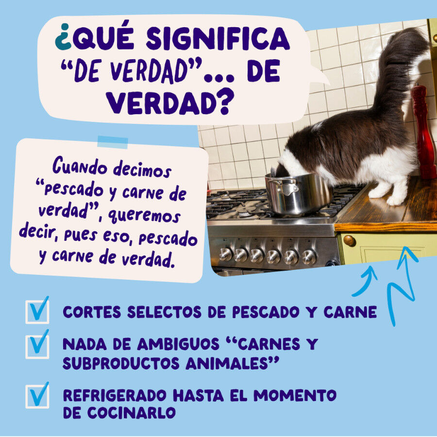 12 x 85 g Edgard & Cooper Selecci&oacute;n Captura del D&iacute;a sobre en salsa para gatos, , large Imagen numero 5