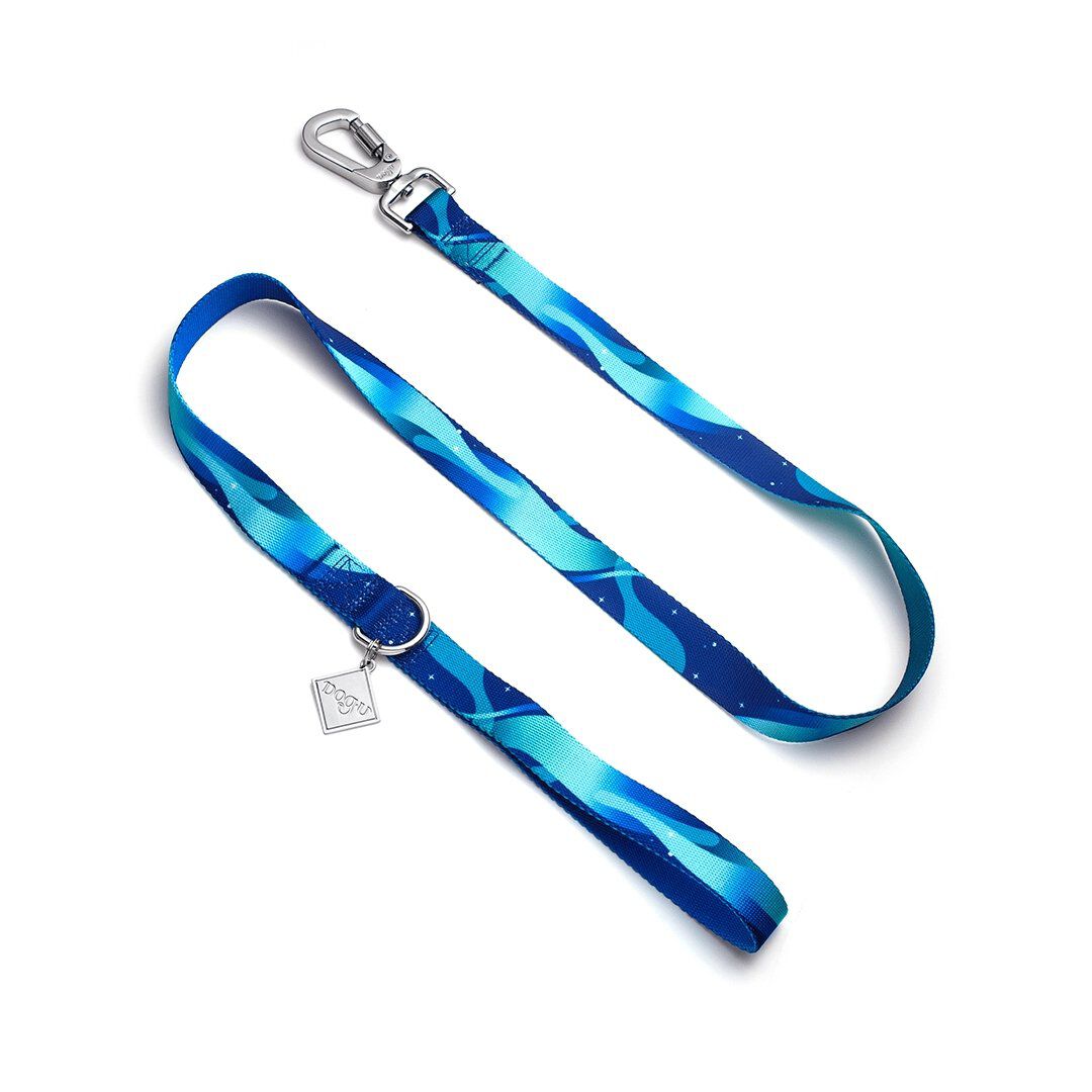 Correa para perros | Boreal- Cyan, , large Imagen numero 1
