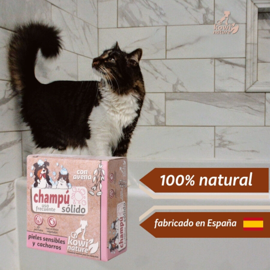 KOWI CHAMP&Uacute; S&Oacute;LIDO PIELES SENSIBLES, 70 gr, , large Imagen numero 5