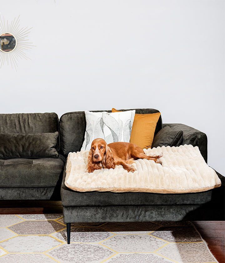 Pet and Co Manta Cuddle Beis Lazy para Perros thumbnail