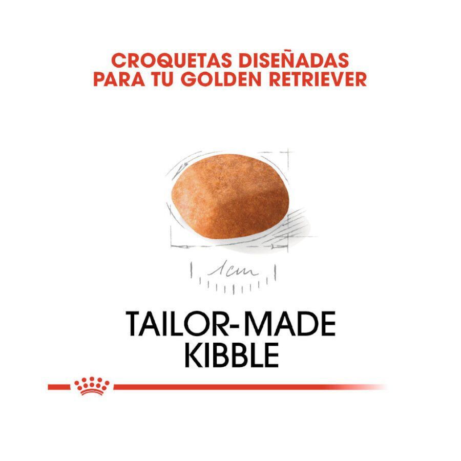 Royal Canin Puppy Golden Retriever pienso para perros thumbnail