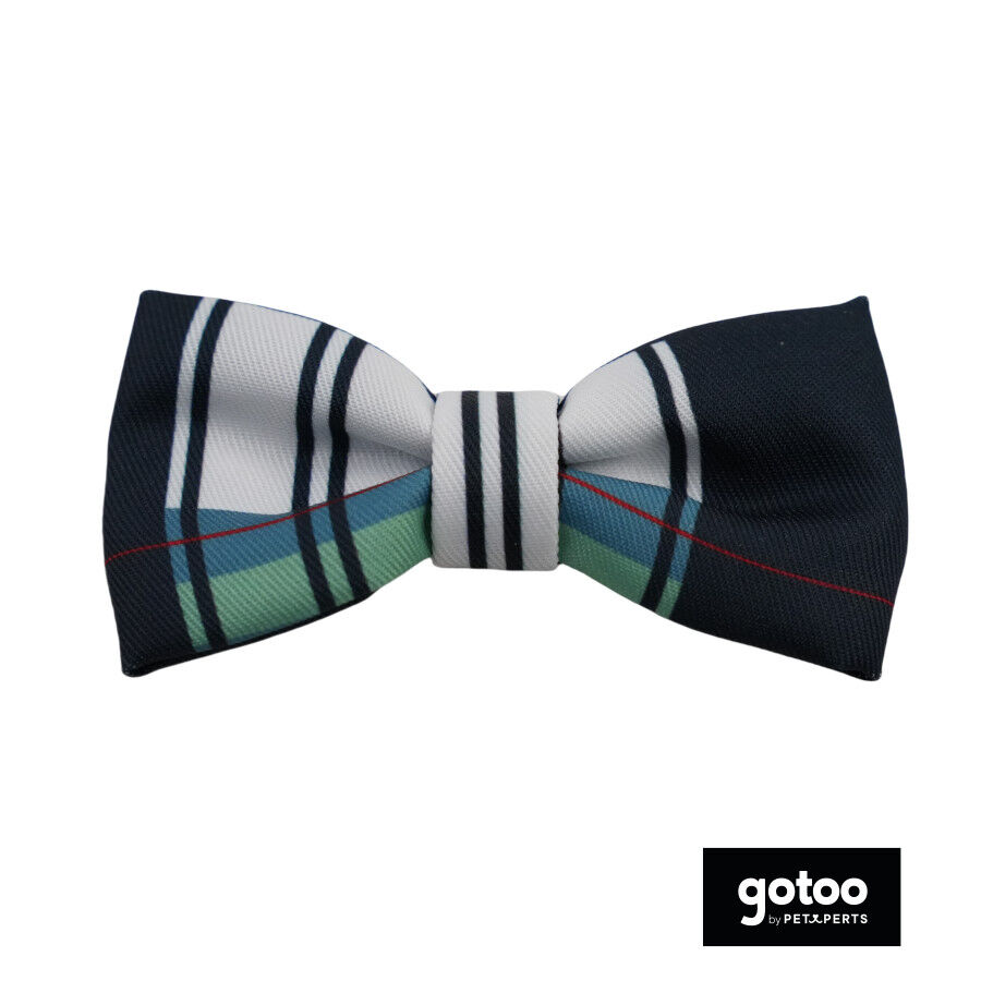 Gotoo Pajarita de rayas para perros, , large Imagen numero 2