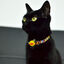 Collar Boom para gatos color Varios, , large indicador imagen numero 2