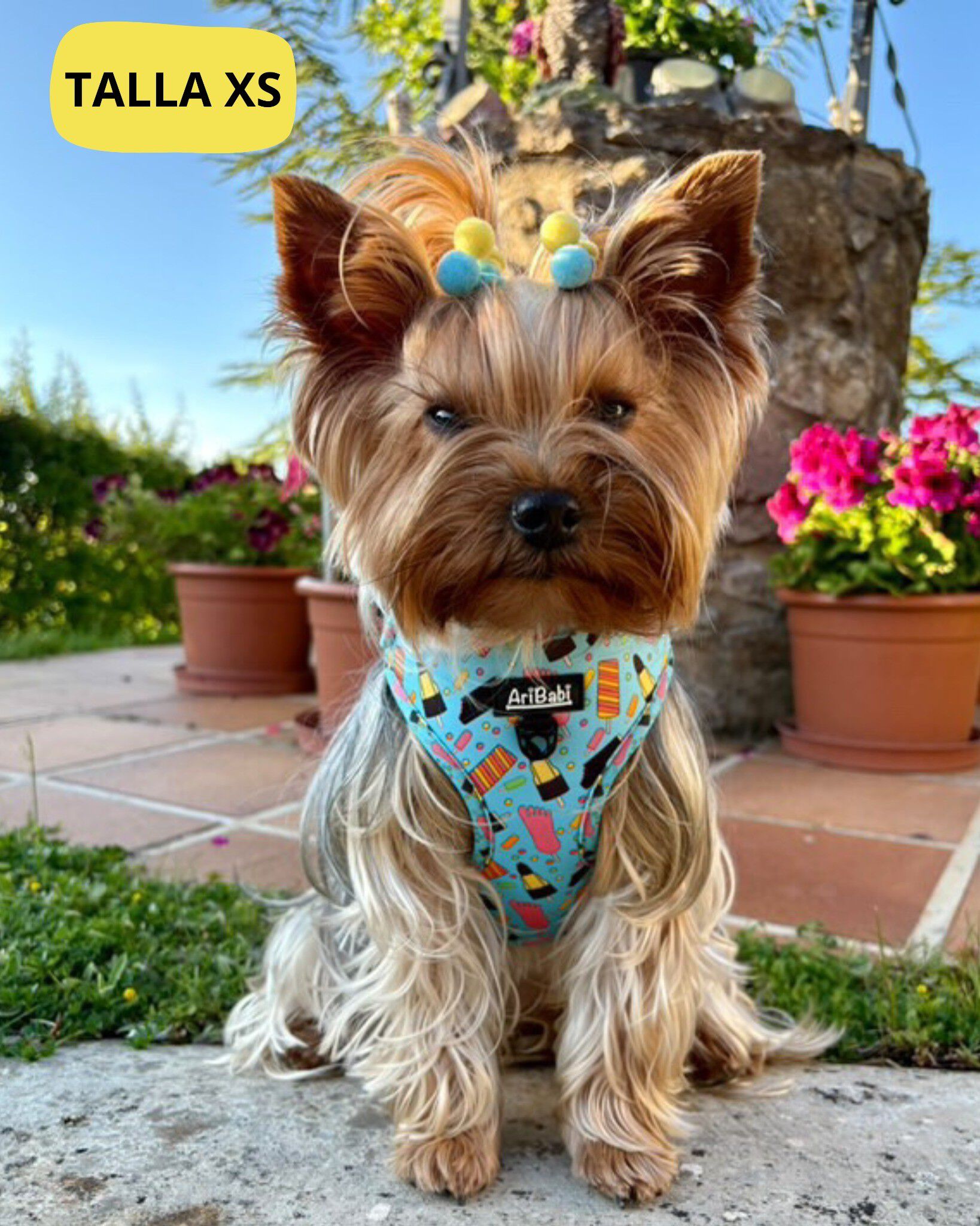 Correa Premium para perros original y c&oacute;moda &ndash; Colecci&oacute;n FrigoPata, , large Imagen numero 5