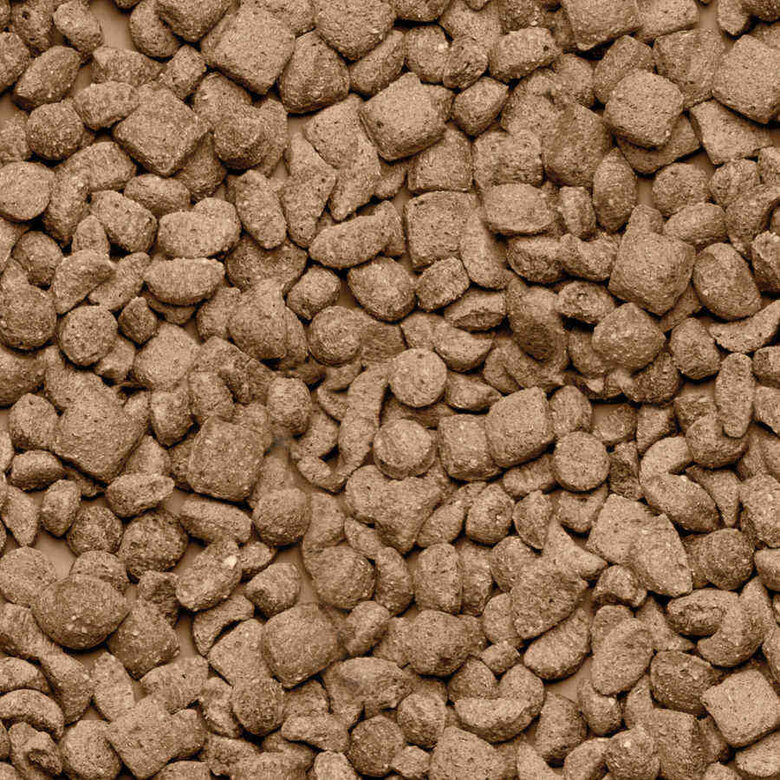 Beaphar Care+ Hámster alimento para hámsteres, , large image number null