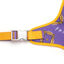 Arn&eacute;s Bold para perros | Friends - Purple Door, , large indicador imagen numero 2