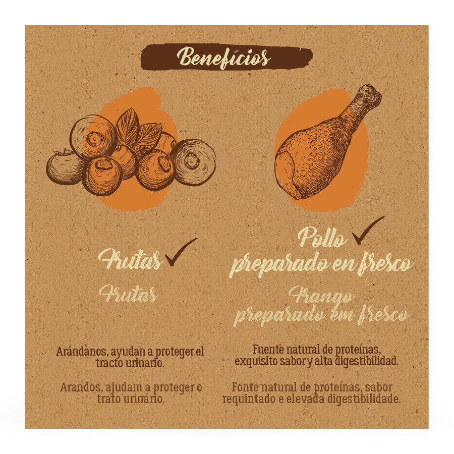 True Origins Pure Kitten Poultry Pollo pienso para gatos thumbnail