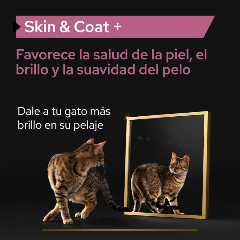 Pro Plan Skin &amp; Coat + Aceite de Salmón Noruego para gatos thumbnail