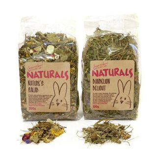 Snacks Dandelion Delight hierba para roedores