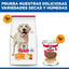 14 kg Hill's Science Plan Light Adult Pollo pienso para perros, , large indicador imagen numero 7